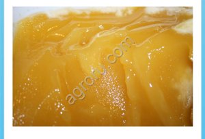 Леспедециевый кристаллизацоный мед