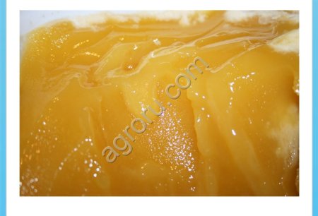 Леспедециевый кристаллизацоный мед