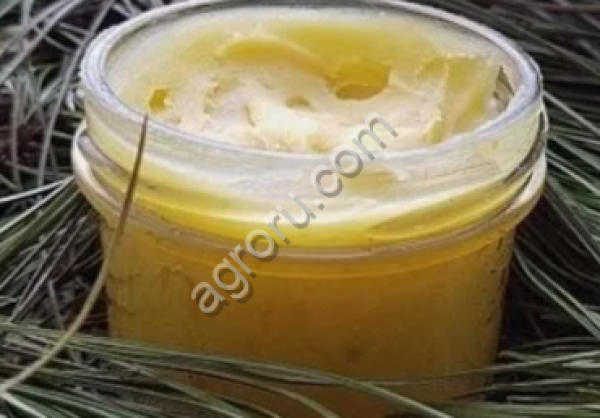 мед с кедровой живицей 300 гр Алтайский