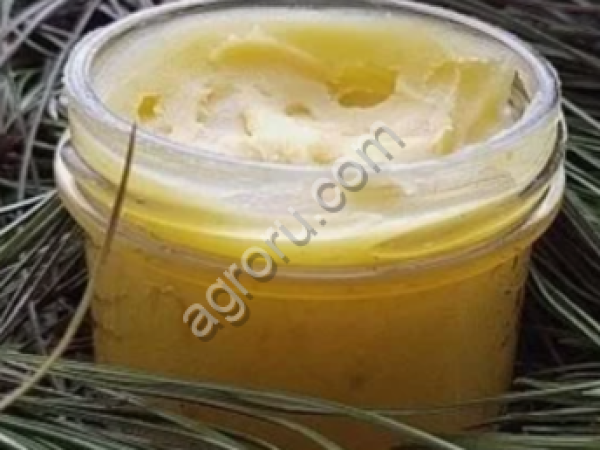 мед с кедровой живицей 300 гр Алтайский