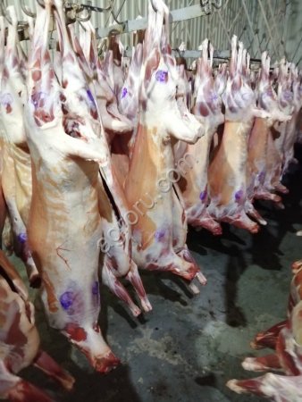 Баранина в тушах