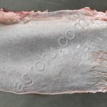 Селезенка говяжья