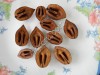 Cемена маньчжурского ореха (seed Juglans mandshurica)