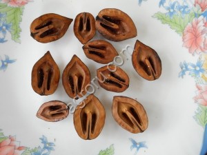 Cемена маньчжурского ореха (seed Juglans mandshurica)