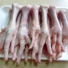 Курное мясо оптовые импорт в любую страну.
