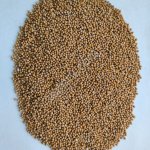 Горчица белая