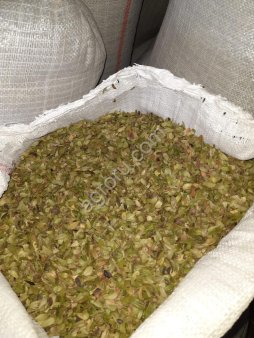 Толокнянка лист