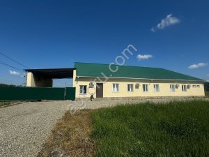 Фермерское хозяйство 65 Га