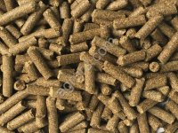 Шрот рапсовый