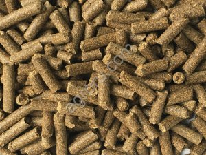 Шрот рапсовый