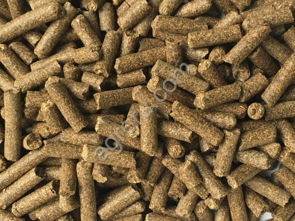 Шрот рапсовый