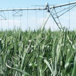 Механизированное орошение WESTERN