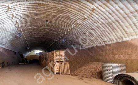 Катрофель оптом от производителя ГАЛА