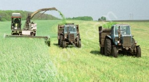 Сельхозпредприятие на Урале