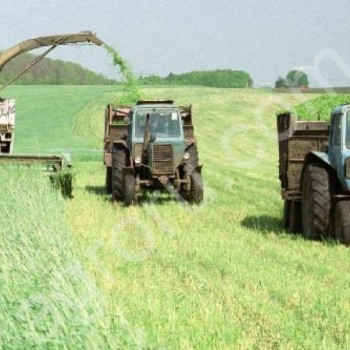 Сельхозпредприятие на Урале