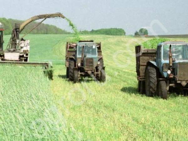 Сельхозпредприятие на Урале
