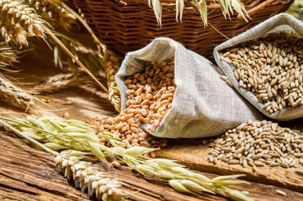 зерновые по 100% предоплате