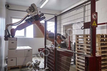 Инкубационное яйцо Кросса РОСС-308 (возможна суточных цыплят)