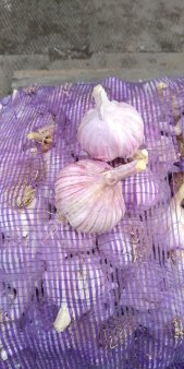 Чеснок, Виноград, Лимон, Гранат