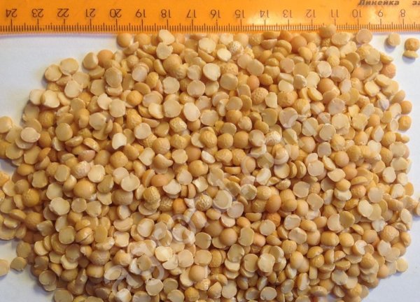 Горох колотый шлифованный - Премиум