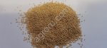 Семена амаранта сорт Каракула репродукция Элита1