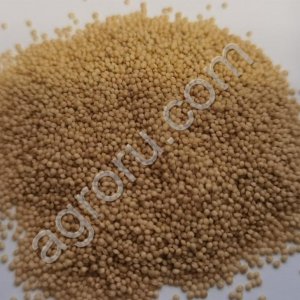 Семена амаранта сорт Каракула репродукция Элита1