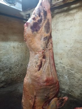 Полутуши четвертины говядина