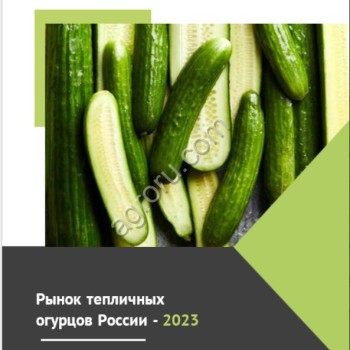 Рынок тепличных огурцов России - 2023 Объем, потенциал, импорт, цены, спрос, конкуренция. Прогнозы