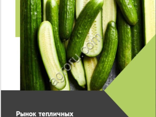 Рынок тепличных огурцов России - 2023 Объем, потенциал, импорт, цены, спрос, конкуренция. Прогнозы