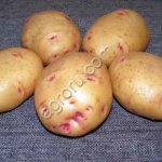 Картофель сорт Гала