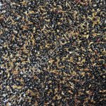 Суданская трава