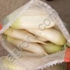 Капуста
