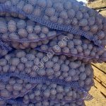 Гала Элит cеменной, премиум-класса.