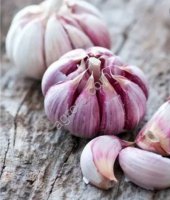 <strong>Чеснок</strong>