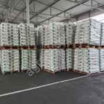 ПОДСОЛНЕЧНИК Гибрид под классику СПРИНТ