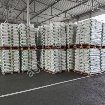 ПОДСОЛНЕЧНИК Гибрид под классику СПРИНТ