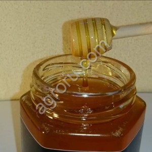 Мёд из Личи Мукарана Ниаули Кактус