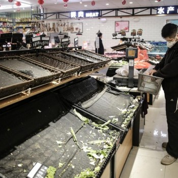 Кризис в Китае , -  Краткий обзор рынка мяса