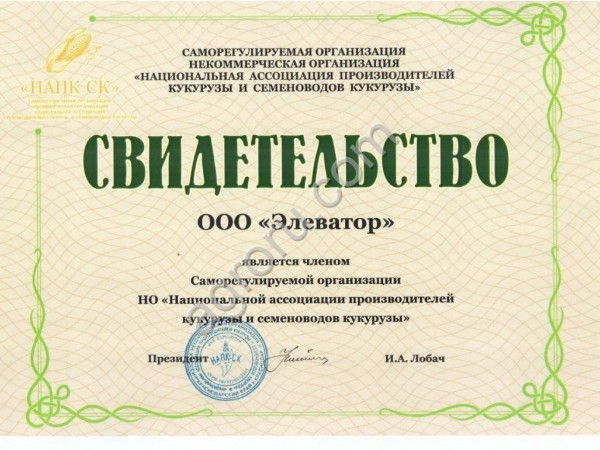 Гибриды семян кукурузы Краснодарский 291 АМВ F1 ФАО 290