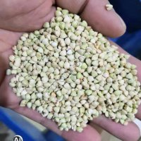 <strong>Оборудование</strong> для переработки гречки