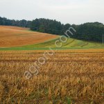 сельхоз земля