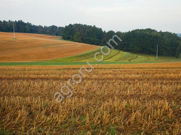 сельхоз земля