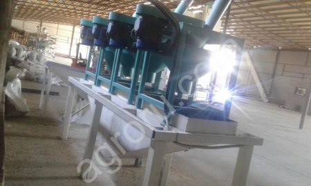 Подсолнечник кондитерский.Оборудование для получения ядра