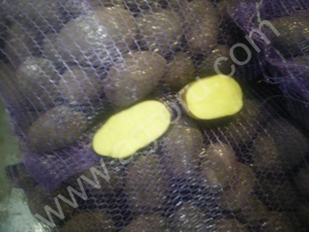 Оптом от 20 тонн