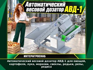 Автоматический весовой дозатор АВД-1 для овощей, картофеля, лука, моркови, свеклы, редьки, репы, редиса