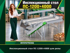 Инспекционный стол ПС-1200×4000 для репы