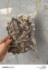 Сушеные белые грибы и подосиновики