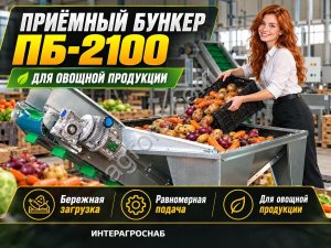 Приёмный бункер ПБ-2100 для овощной продукции