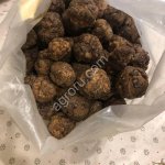 Прополис