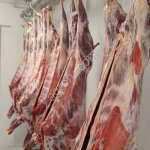 Ягнятина, экологичное мясо от фермерского хозяйства
